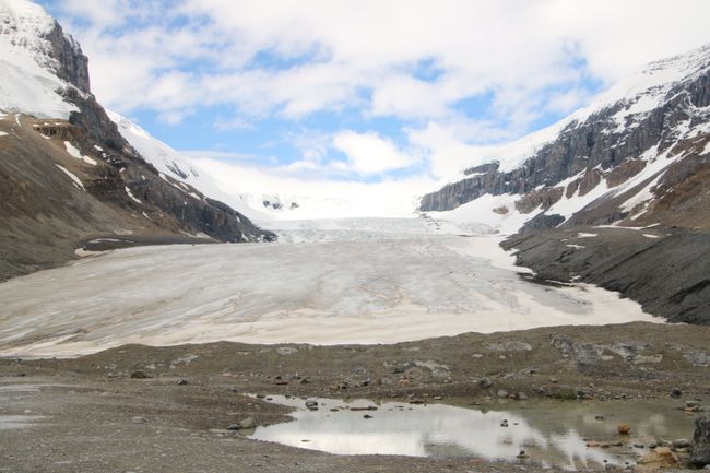 the edge of the glacier tongue
