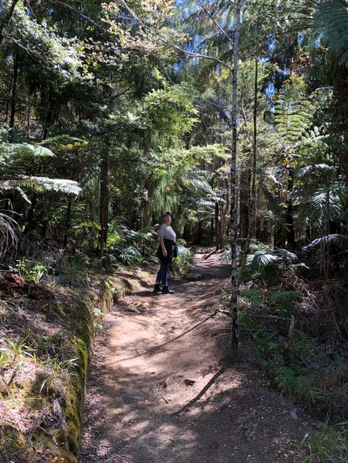 Heute kein Fahrtag, mal Pause machen, Wandern im Abel Tasman Nationalpark.