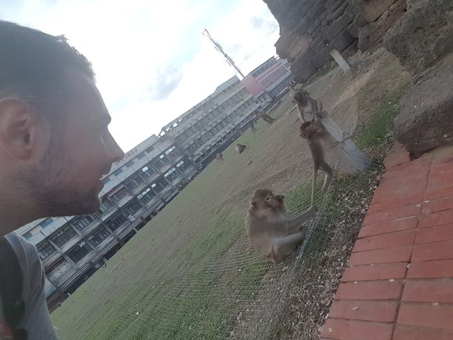 Lop Buri - The monkeys really surprised me!