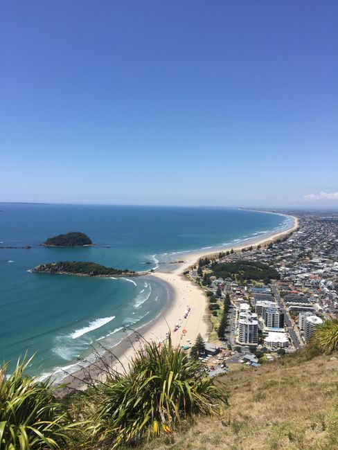 Family time Part 2 and the North Island of New Zealand