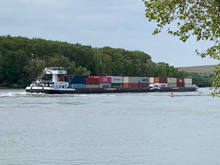 Schiffverkehr am Rhein