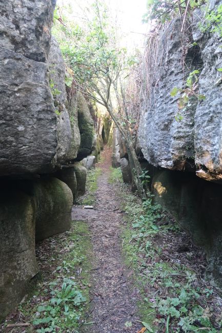 Labyrinth Rocks