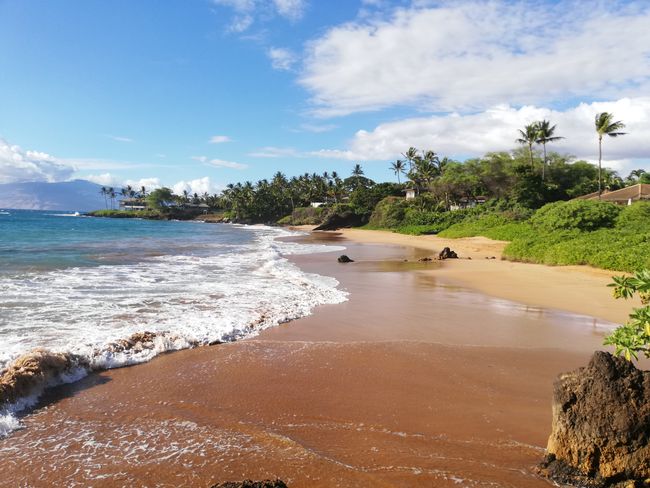 Maui, Hawaii (d)