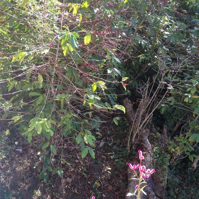 On the roadside