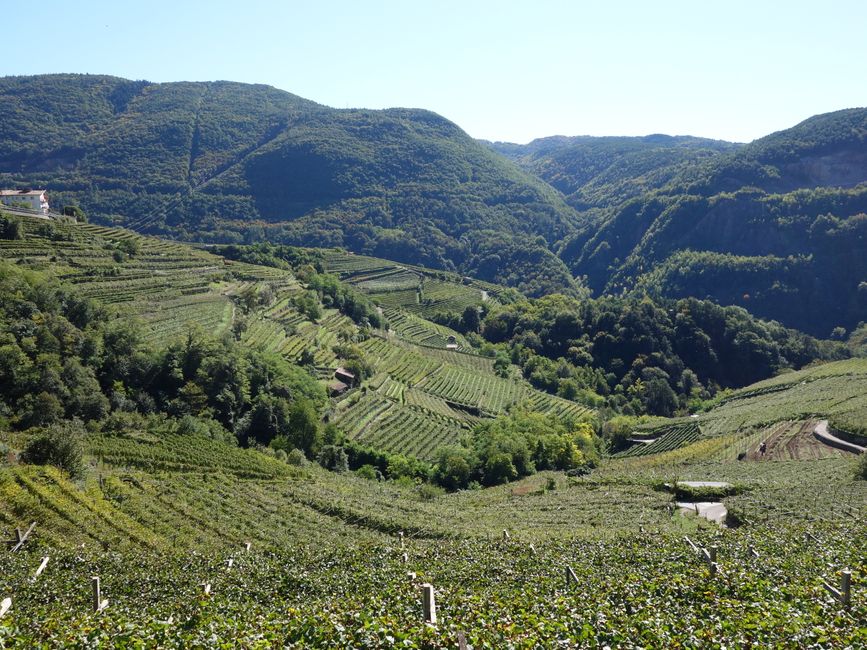 Mountains with vineyards near Pilzer