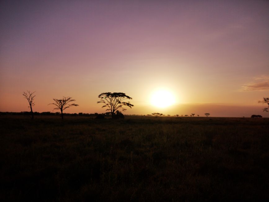 Serengeti Nationalpark