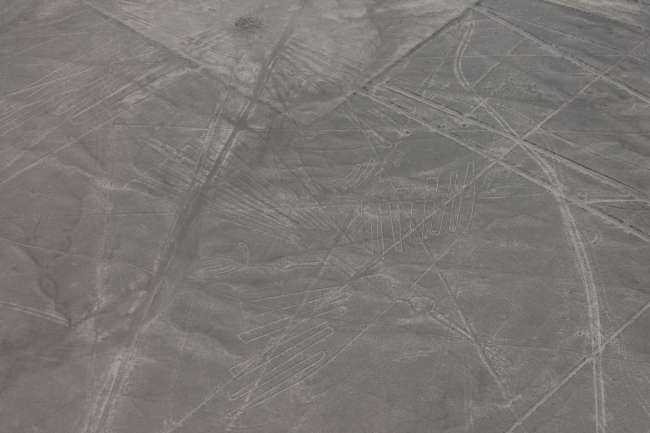 Nasca Lines - Discovering the Unknown