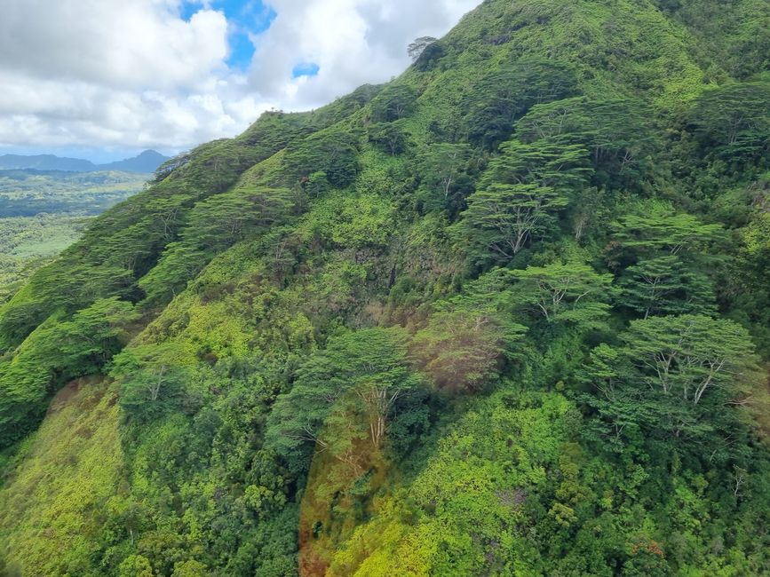 Hawaii 2022 - Teil 2: Kauai