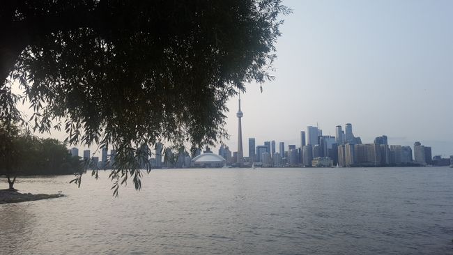 Toronto-eiland