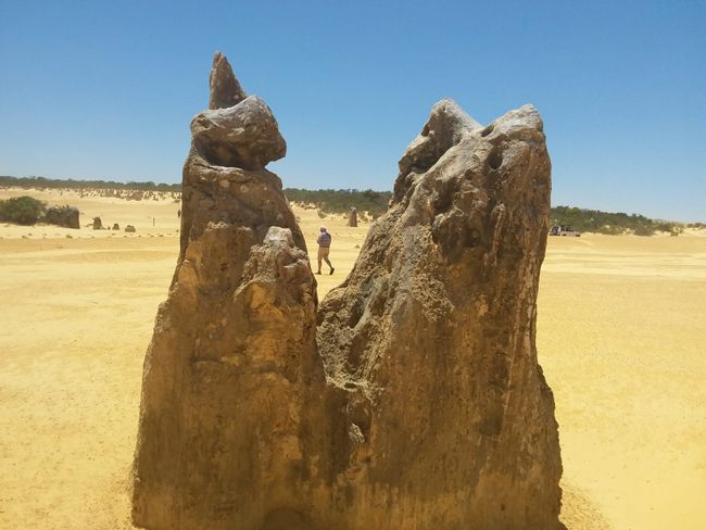 These peculiar rocks are called the Pinnacles.