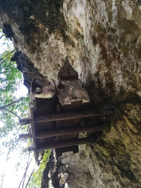 Tana Toraja: Rock Tombs and Death Cult in South Sulawesi