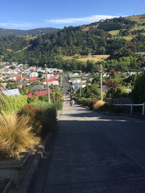 South Island of New Zealand