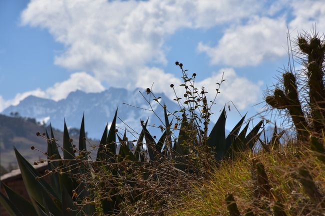 Cusco - iperile enye