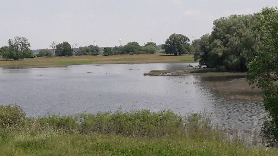 The Elbe Cycle Path