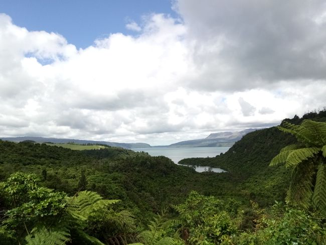 Lake and Mountain Tarawera