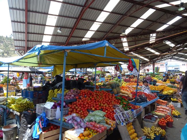 Der Markt in Pujili ist Reizüberflutung für Gaumen, Nase und Augen. Von chinesischen Billigfabrikationen, gefälschten Markenartikeln bis hin zu Obst, Gemüse,Fisch Fleisch und Getreide findet man hier fast alles was das Herz begehrt.