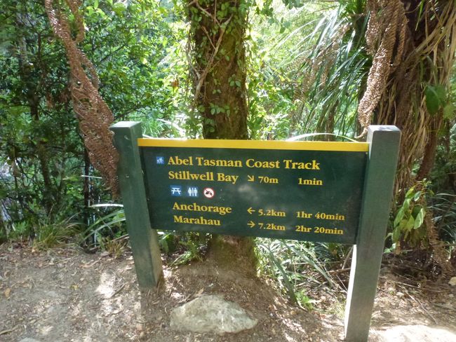 Sunday, 09.02., Kaiteriteri and Abel Tasman National Park