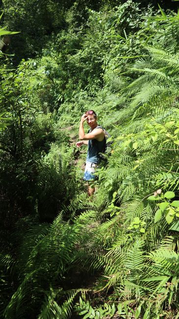 Hals über Kopf in den Dschungel (Tag 20 der Weltreise)