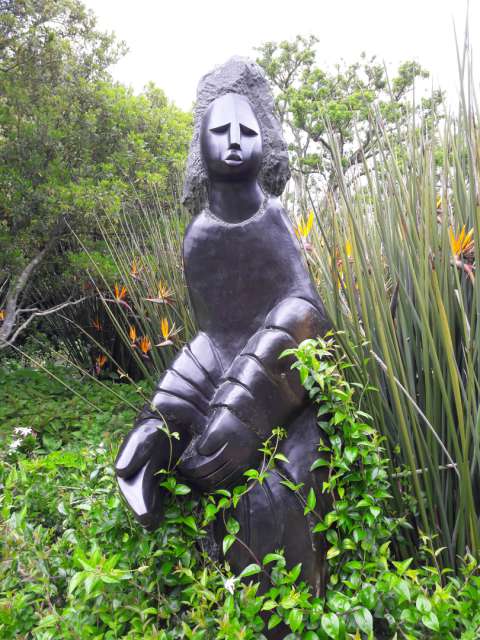 باغ گیاه شناسی - Kirstenbosch