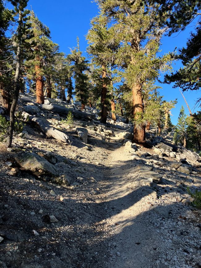 High Sierra Trail Day 5