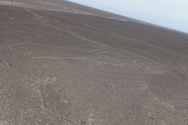 Nazca- Komische Linien im Sand und so + Huanchacco (again)