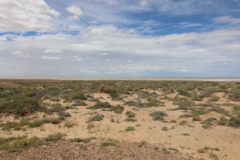 Lake Eyre South Lookout