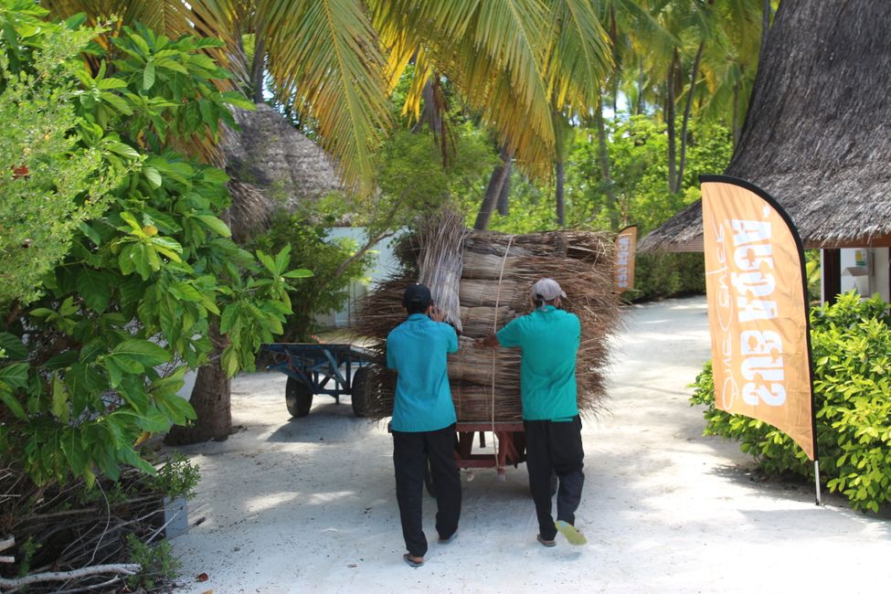Malediven Tag 6 - Chillen kann so anstrengend sein 🤭