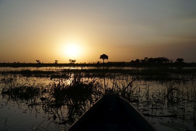 Orang San dan Delta Okavango