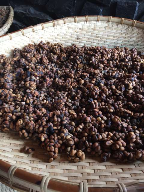 finished coffee beans