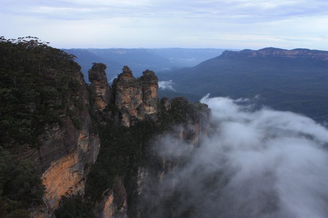 In the Blue Mountains