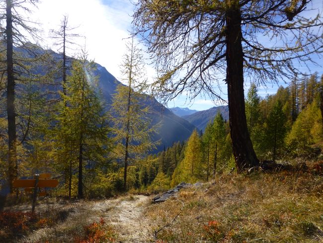 Fafleralp-Lauchernalp