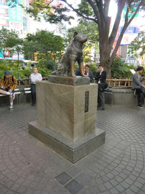Hachiko, der treue Hund, der am Bahnhof Shibuya fast 10Jahre lang auf sein bereits verstorbenes Herrchen gewartet hat.