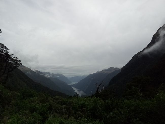 First glimpses of Doubtful Sound