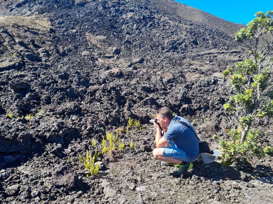 Hawaii 2022 - Teil 1: Big Island