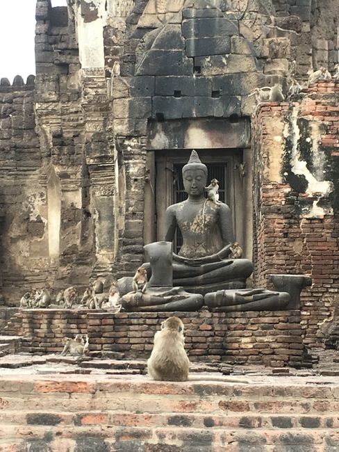 Monkey temple in Lopburi