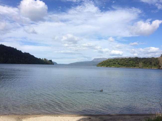 Tag 19 | 29.10.2016 Rotorua, Lake Tikitapu, Lake Rotokakahi