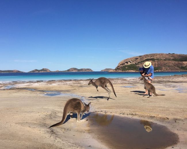 Lucky Bay in Cape Le Grand National Park - Copyright by Marty