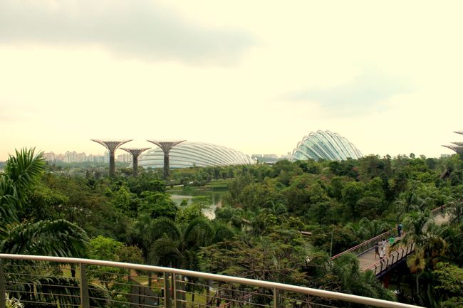 23.04.2015 Singapur, eine ganz andere Welt