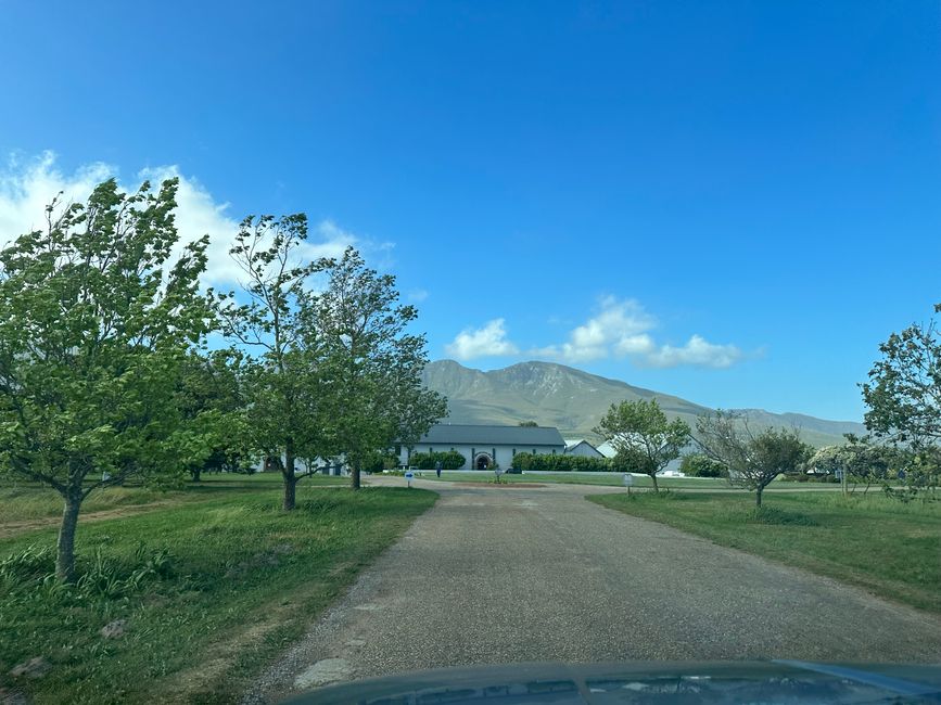 Hermanus ♥️