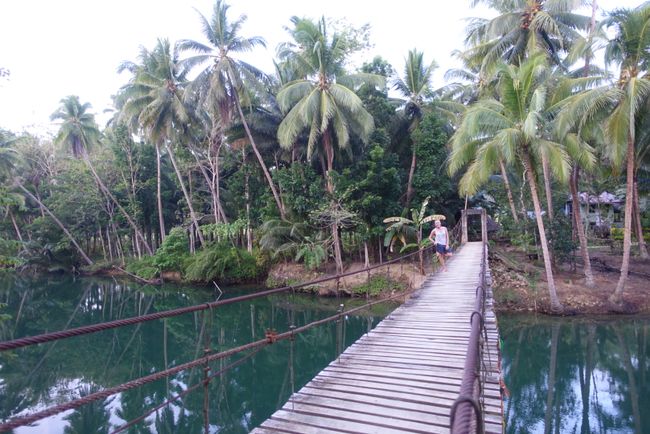 Philippinen, Insel Bohol