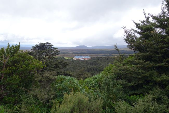 Day 13 • Wellington - Tongariro National Park (Whakapapa)