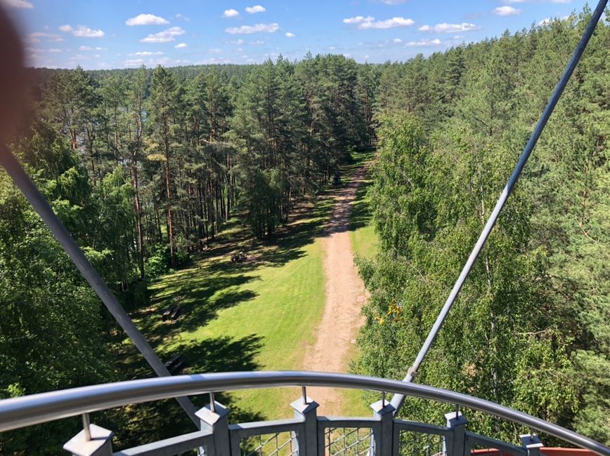Durch Litauens Wälder
