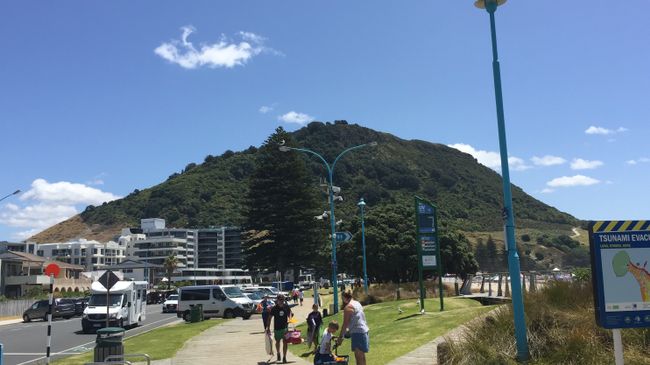Family time Part 2 and the North Island of New Zealand