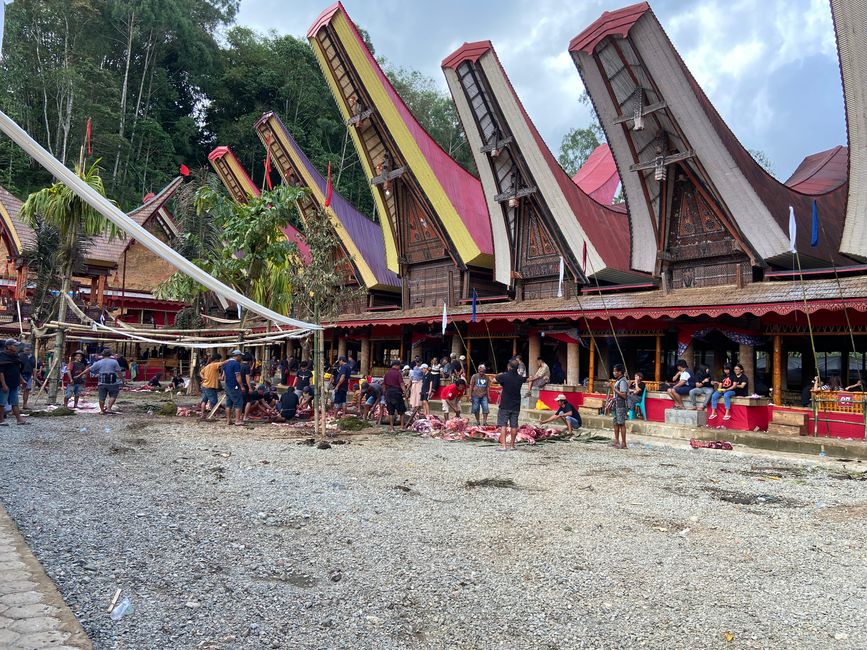 Sulawesi – Wspaniałe krajobrazy i starożytne kultury