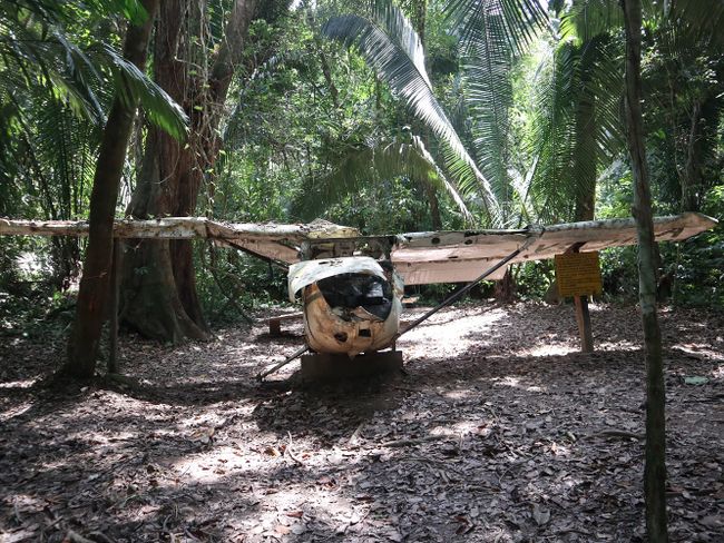 Wanderung im Jaguar-Reservat :O   (Tag 182 der Weltreise)
