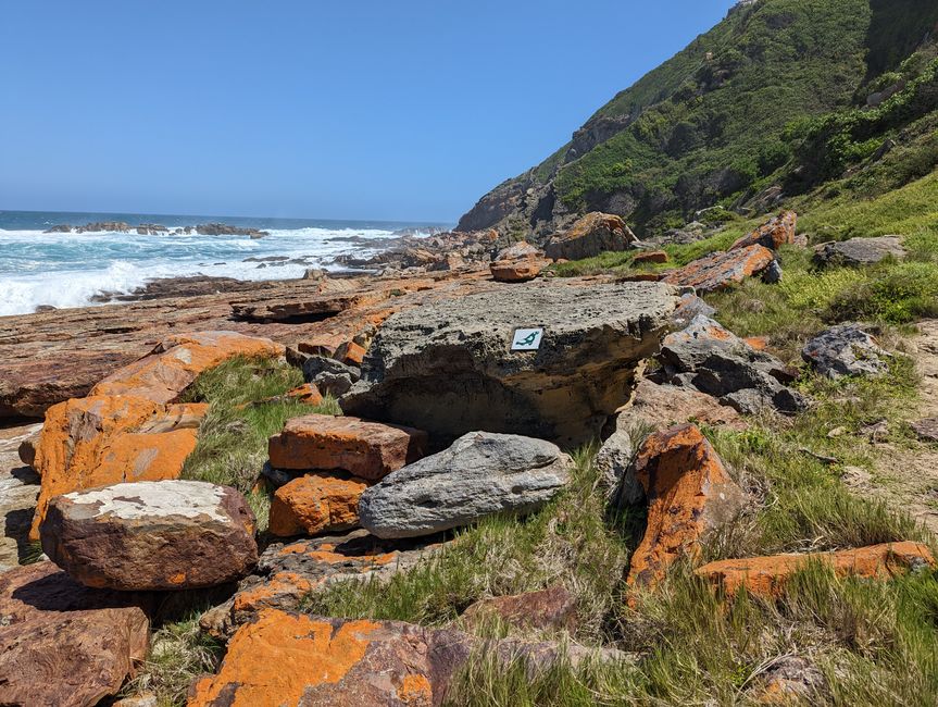 Plettenberg Bay/Robberg Nature Reserve