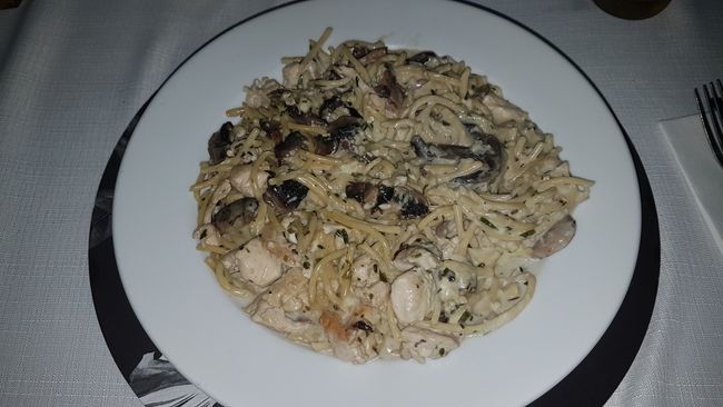 That was my dish. Noodles with chicken-mushroom sauce.