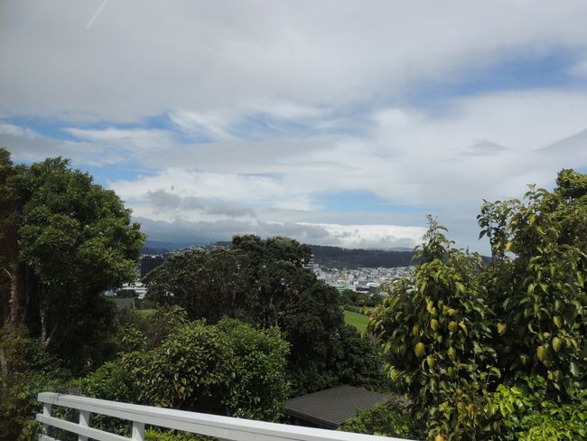 Wellington (5 Tage)