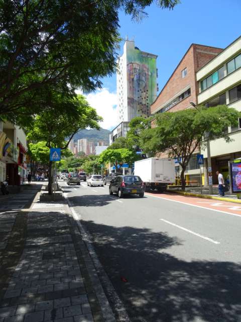Main street up to the upscale neighborhood of the city. Serving as a silent border, the monkey head on the skyscraper