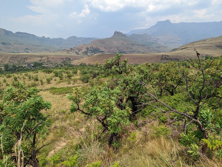 Royal Natal Drakensberg Park